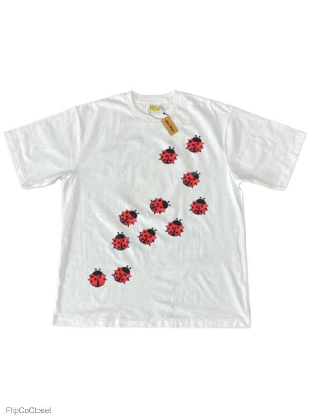Oversized Ladybug Graphic Tee Y2K Whimsical Dolman Sleeve Boxy T-Shirt